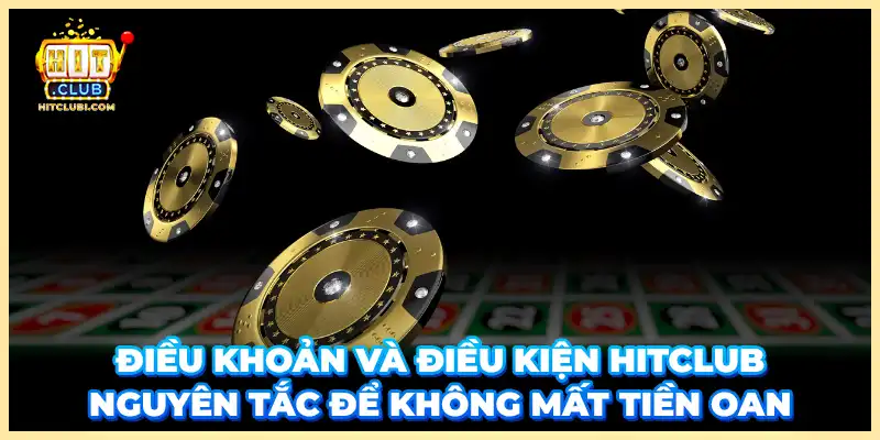 Điều Khoản Và Điều Kiện