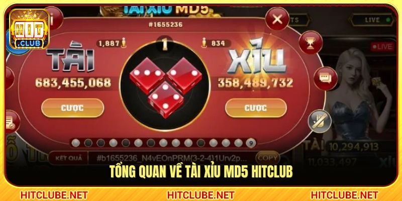 Giới thiệu hình thức tài xỉu MD5 Hitclub